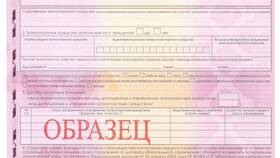 Что нужно для оформления страховки онлайн в Serge