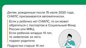 Что такое СНИЛС и как его получить в Serge
