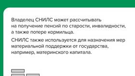Что такое зеленый СНИЛС в Serge