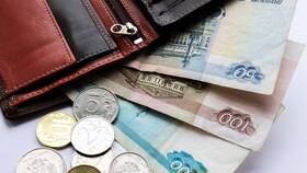 Что значит официальный доход в Serge