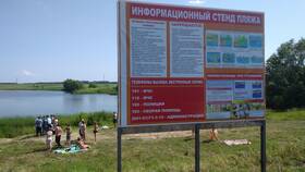 Как объезжать лужи: сервис МТС для водителей
