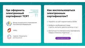 Как оформить сертификат ТСР через Госуслуги в Serge