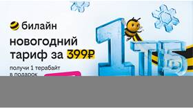 Как перевести гигабайты с Билайн на Билайн в Serge
