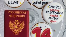 Как получить паспорт ребенку в 14 лет в Serge