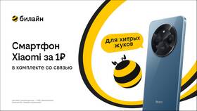 Как пополнить тариф Билайн досрочно в Serge
