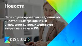 Как проверить запрет на въезд в РФ в Serge