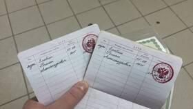 Как внести детей в паспорт через Госуслуги в Serge