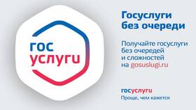 Как заказать ИНН через портал Госуслуги в Serge