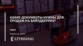 Как зарегистрироваться как продавец на Wildberries в Serge