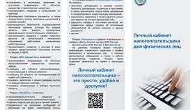 Личный кабинет ФНС: что это в Serge