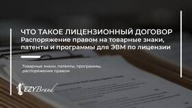 Паушальный платеж и ставка роялти: сравнительный анализ в Serge