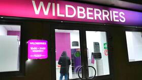 Почему не получается авторизовать кошелек Wildberries в Serge