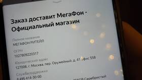 Сколько стоит iPhone 11 в МегаФоне в Serge